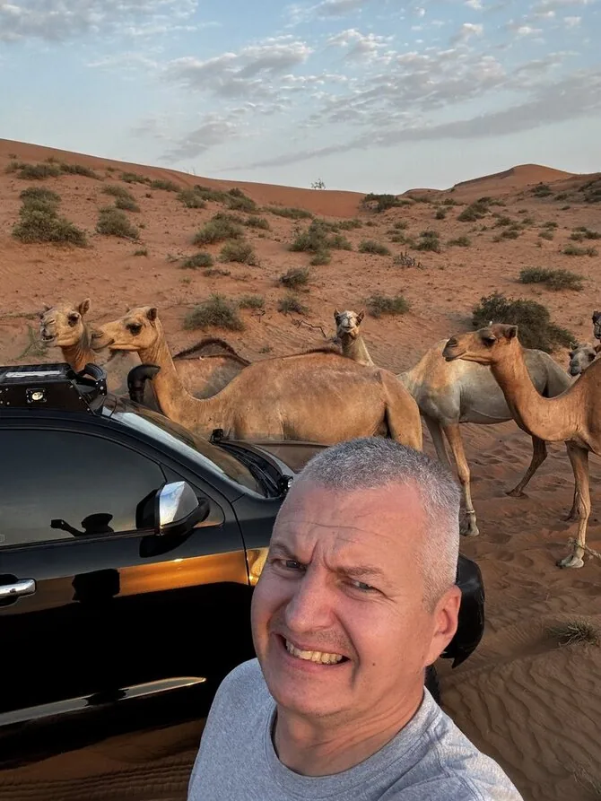 Desert cows