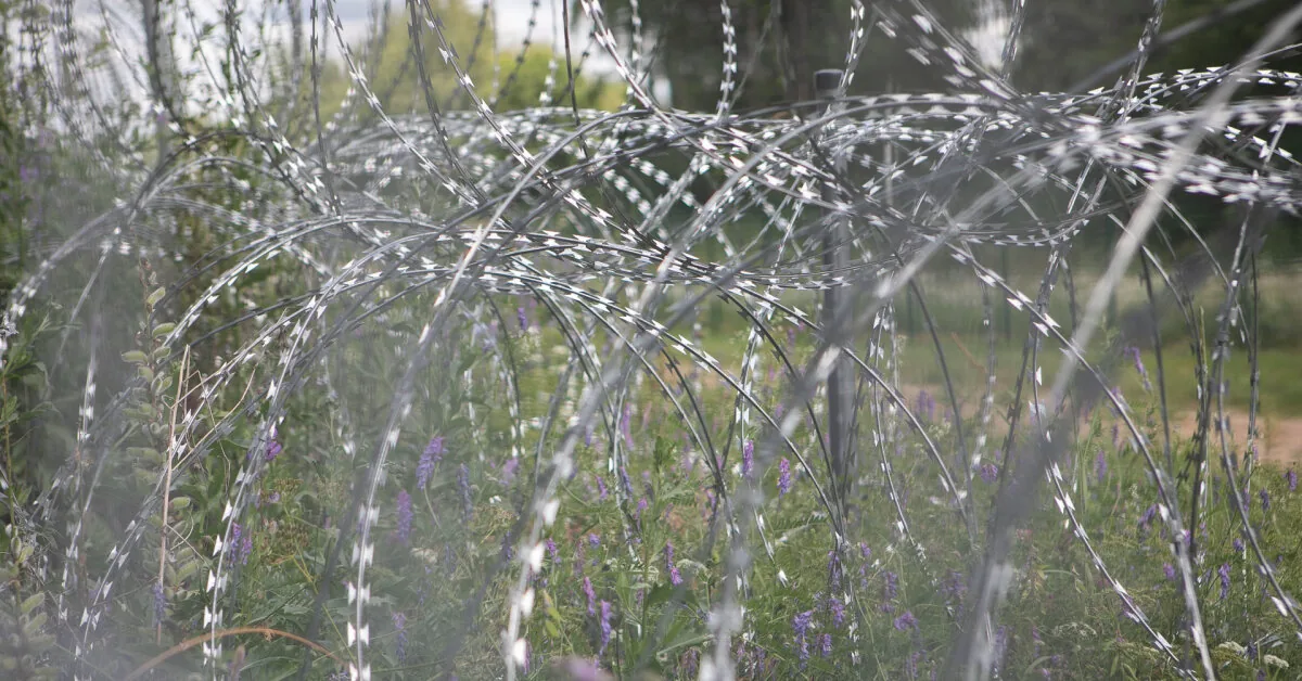 At the border with Belarus, 21 illegal migrants were turned back