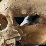 Possible killings and cannibalism 7,000 years ago: The caves of Granada revealed chilling secrets