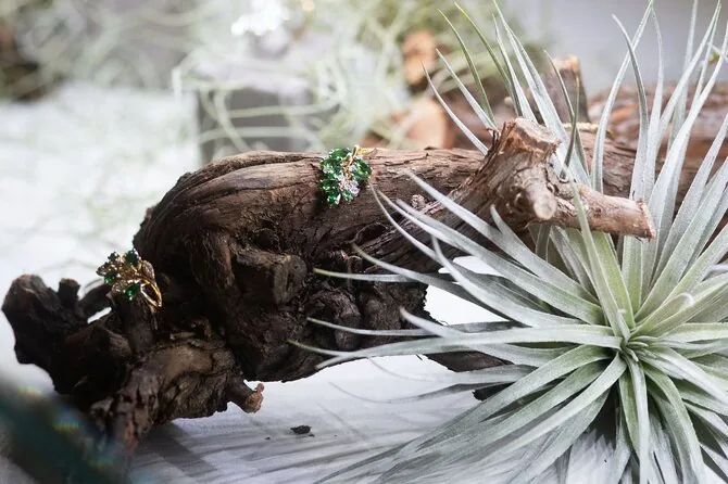 Roberto Riabovo / BNS photo / Presentation of the new jewelry collection by „Factory by Ribas“