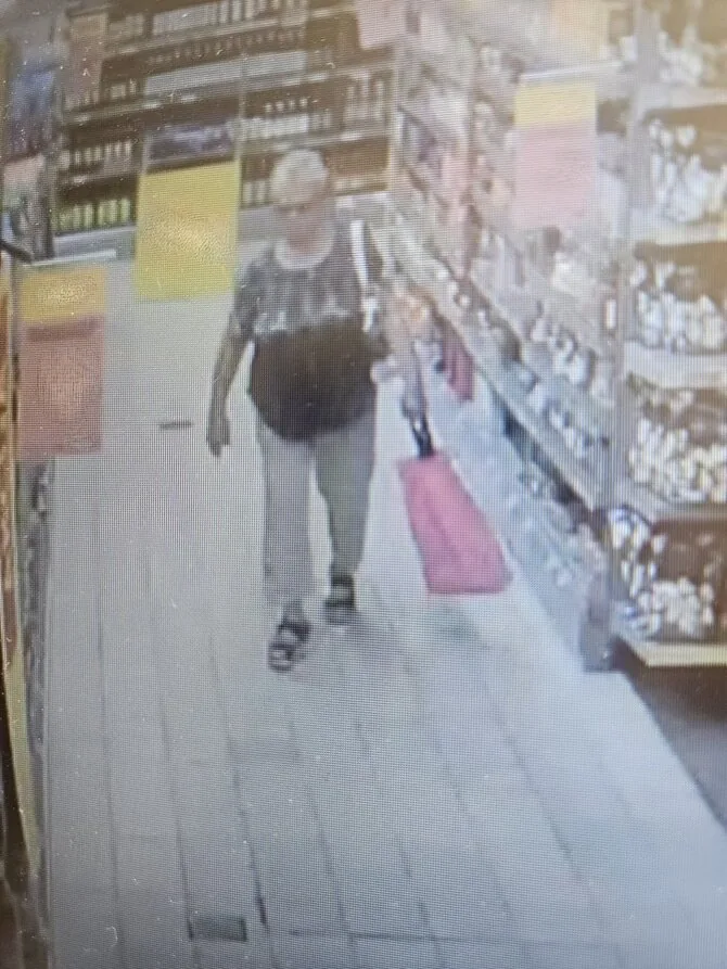 Alytaus VPK archyvo nuotr./Užfiksuota įtariamoji