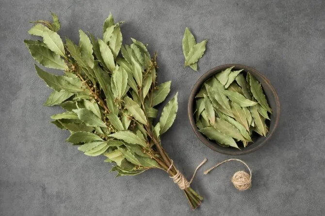 Shutterstock photo/Bay leaves