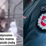 Girl beaten in Šiauliai: horrifying footage of teenage cruelty spreading online
