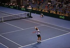 Lithuanian and Serbian tennis teams encounter in the Davis Cup competition in Niš
