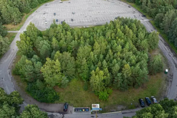 In Klaipėda near the Central Beach, maintenance work has begun, a new pedestrian path will be installed