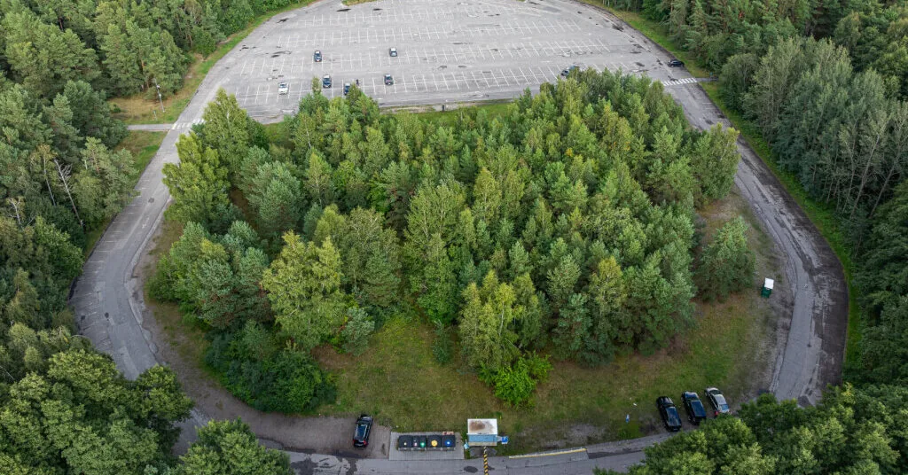 In Klaipėda near the Central Beach, maintenance work has begun, a new pedestrian path will be installed