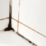 Bathroom free of mold and moisture: just spend 2 minutes every day