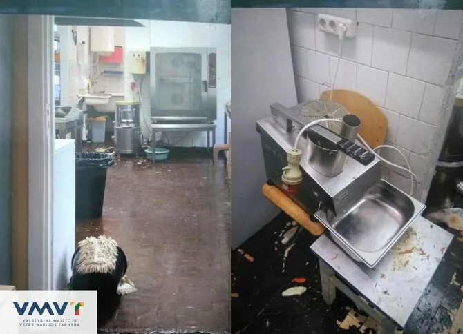 VMVT nuotr./VMVT patikrinimas Kauno Veršvų gimnazijoje
