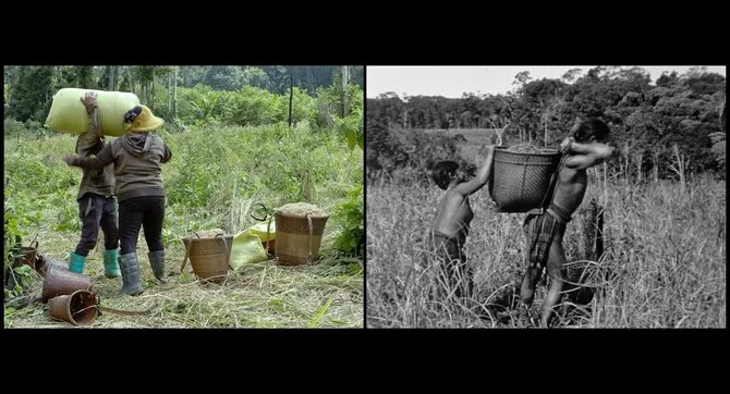 Frame from the film/Frame from the film “We Are the Forest's Fruits”